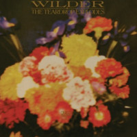 The Teardrop Explodes - Passionate Friend