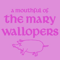 The Mary Wallopers - As I Roved Out