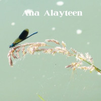 Halal Harmony - Anjooma Layat (feat. Abo Ali)