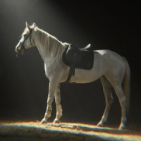 ADI & Emilian - Trecător