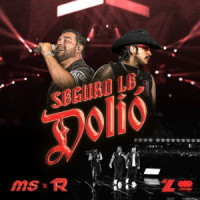 Banda MS de Sergio Lizárraga & Fuerza Regida - Seguro Le Dolió