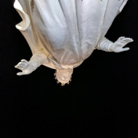 iiSto20k - ты говорила каждый раз