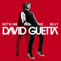 David Guetta - Without You (feat. Usher)