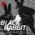 The Black Rabbits, Albert Hammond Jr & Jude Law - Turned to Black