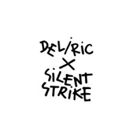 Deliric & Silent Strike - Cursa