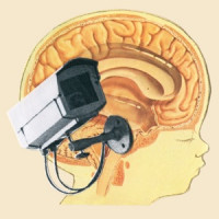 The Hidden Cameras - Origin:Orphan