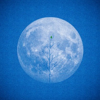 A'Studio - Она не виновата