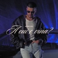 Andrei Ursu - A cui e vina