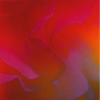 nate band - Miss Your Body