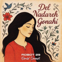 Robot 29 - Del Nadareh Gonahi (feat. Omid Saeedi) [Persian Rock Reimagined]