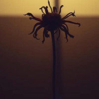 Neytan - Welcome to my mind