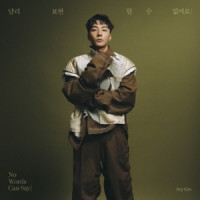 Roy Kim - No Words Can Say (inst.)