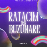 LIMITED HITS - Ratacim prin buzunare (feat. Nadina)
